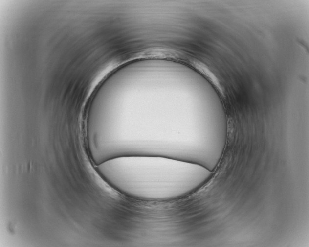 X0000099321091200805020748