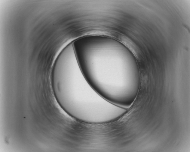 X0000099321092200805020748