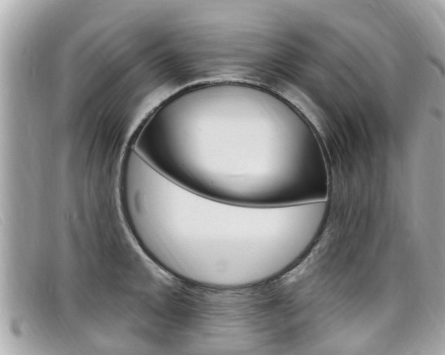 X0000099321093200805020748