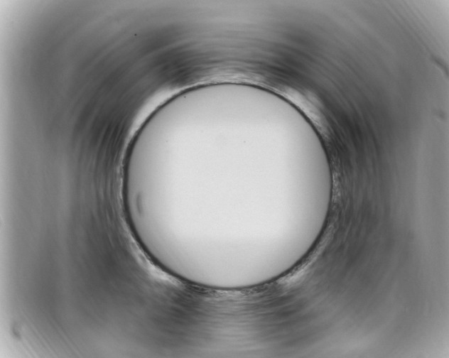 X0000099321094200805020748