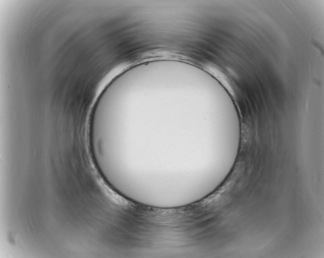 X0000099321098200805020748
