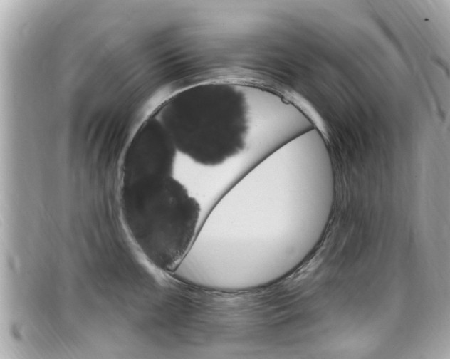 X0000099321099200805020748