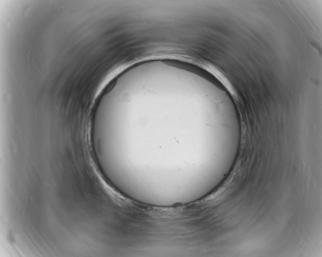 X0000099321101200805020748