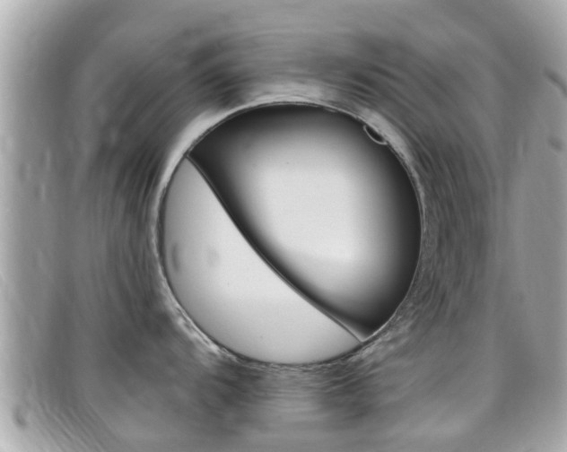 X0000099321104200805020748