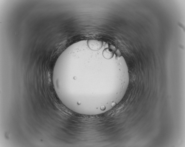 X0000099321106200805020747