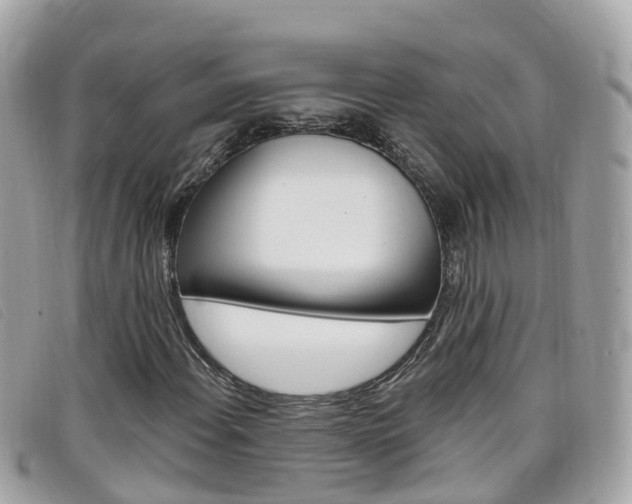 X0000099321108200805020747