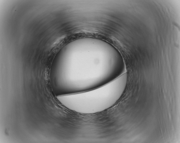 X0000099321110200805020747