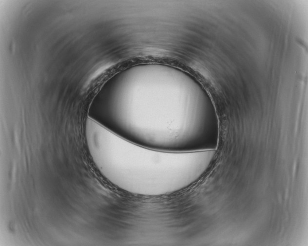 X0000099321112200805020747