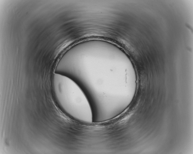 X0000099321113200805020747