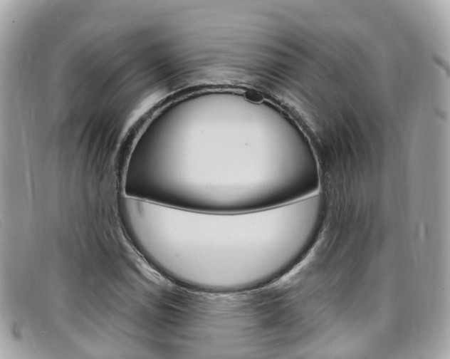X0000099321114200805020747