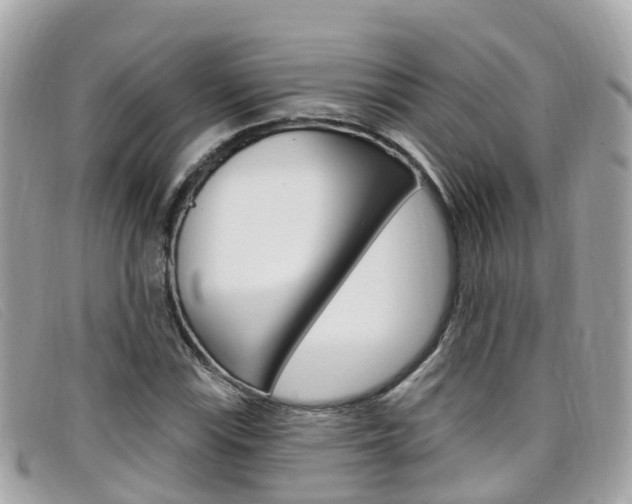 X0000099321115200805020747