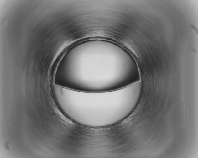 X0000099321116200805020747