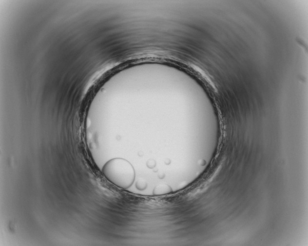 X0000099321117200805020747