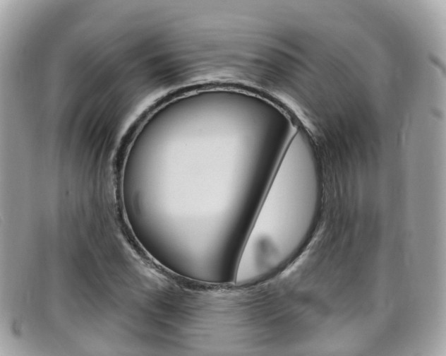 X0000099321118200805020747