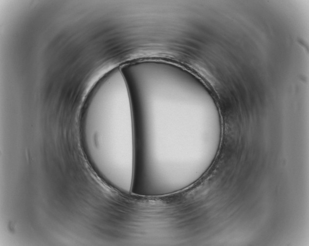 X0000099321119200805020747