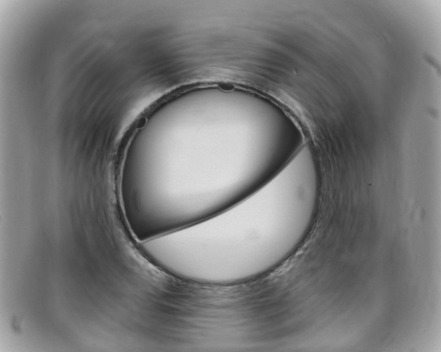 X0000099321120200805020747