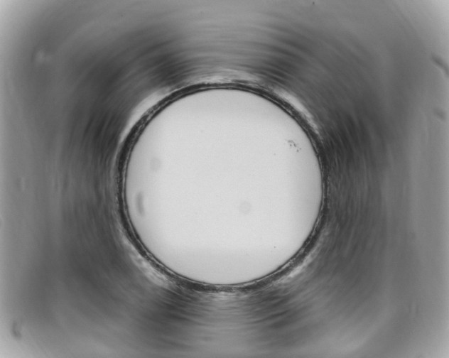 X0000099321122200805020747