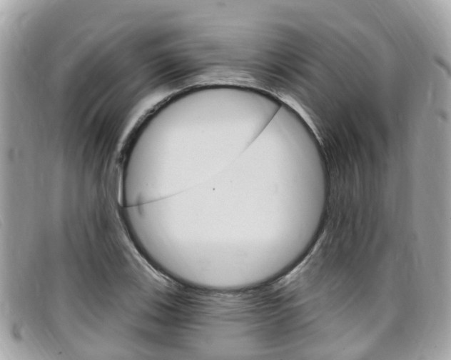 X0000099321123200805020747
