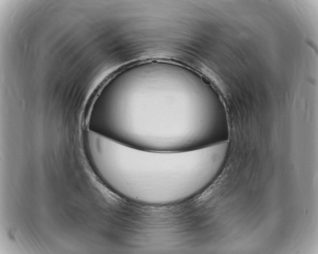 X0000099321124200805020747