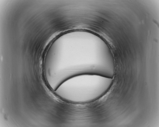 X0000099321126200805020747