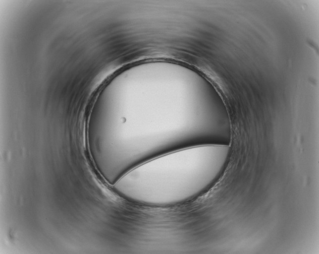 X0000099321127200805020747