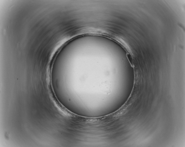 X0000099321128200805020747
