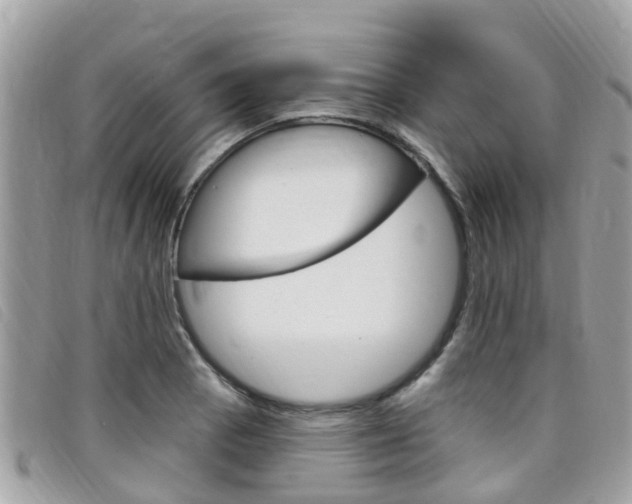X0000099321129200805020747