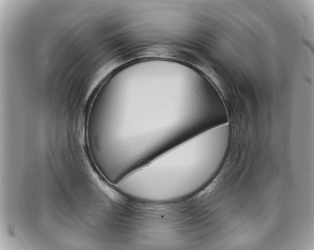 X0000099321131200805020747