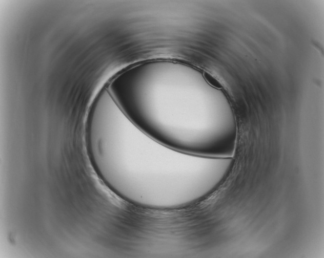 X0000099321132200805020747