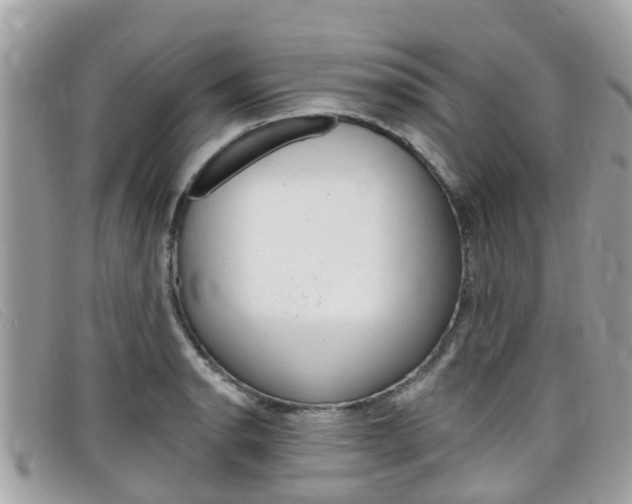X0000099321134200805020747