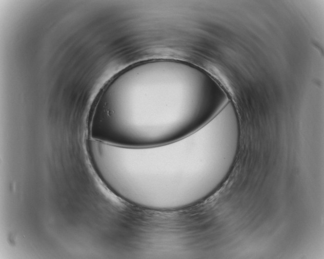 X0000099321136200805020747