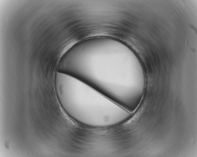 X0000099321137200805020747