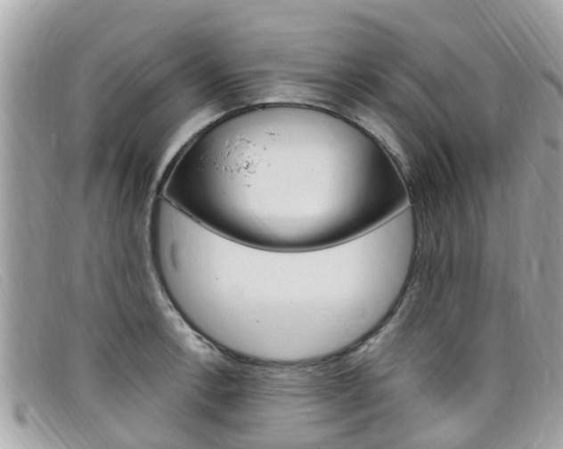 X0000099321138200805020747