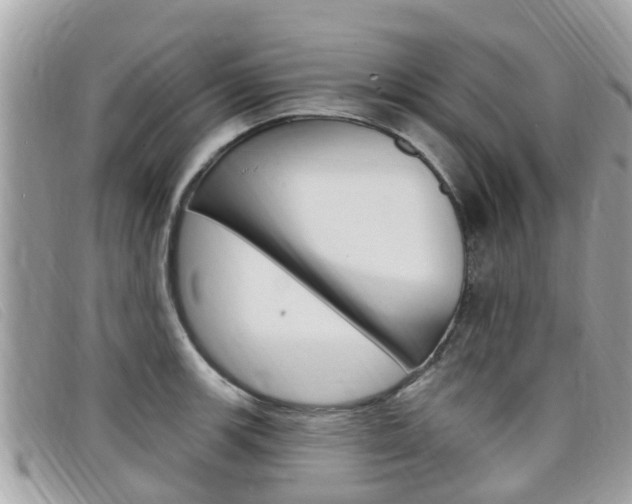 X0000099321139200805020747