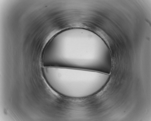 X0000099321141200805020747
