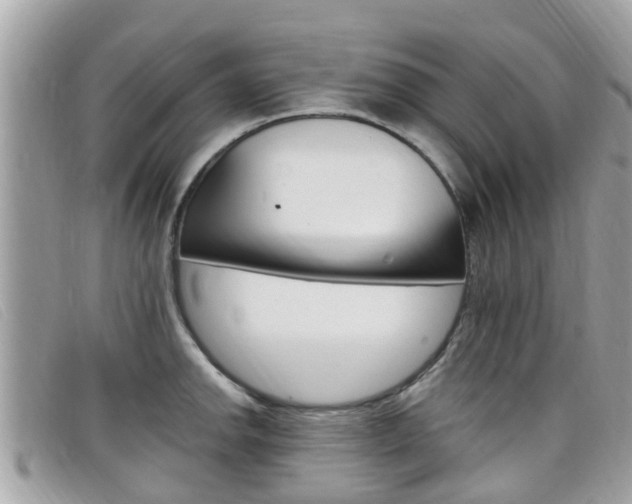 X0000099321142200805020748
