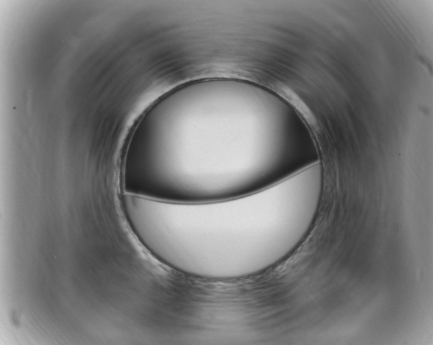 X0000099321144200805020748