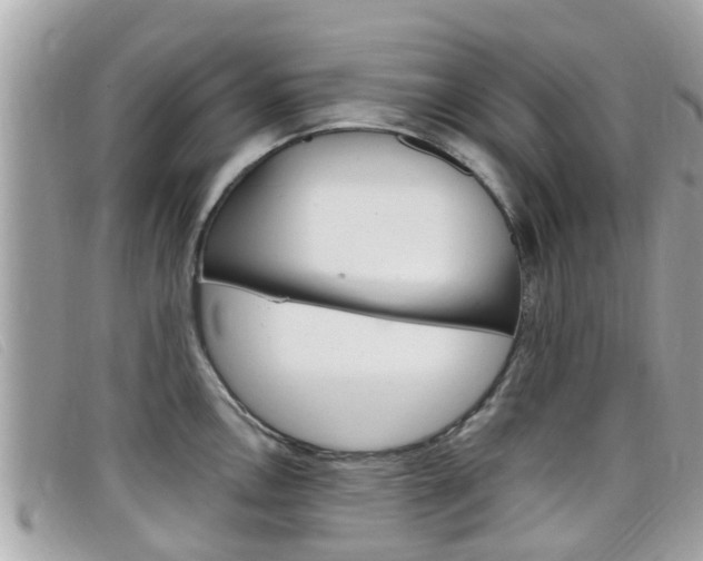 X0000099321146200805020748