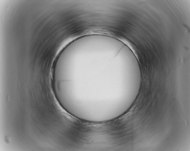 X0000099321147200805020748