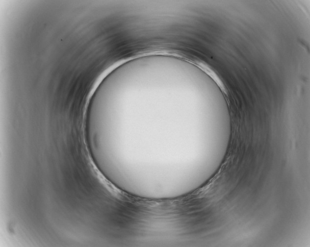 X0000099321148200805020748