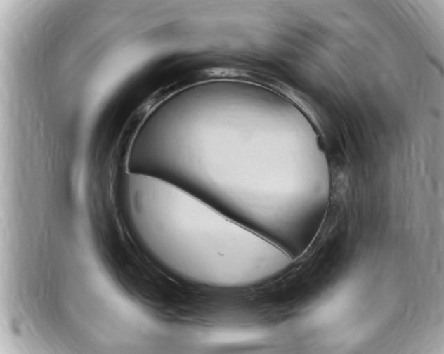 X0000099321151200805020748