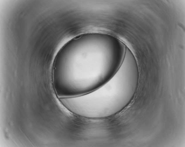 X0000099321152200805020748
