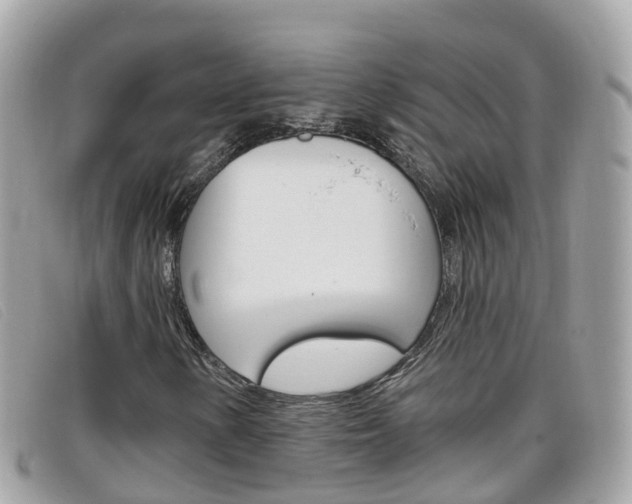 X0000099321154200805020747