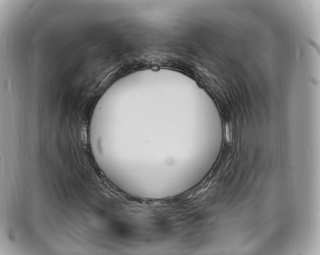X0000099321155200805020747