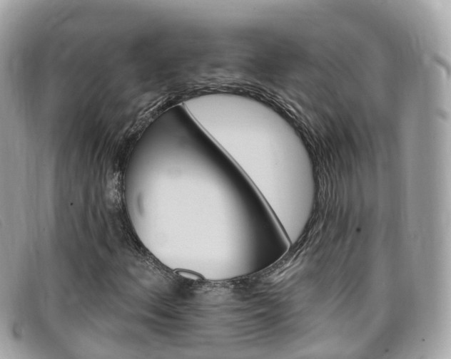 X0000099321156200805020747