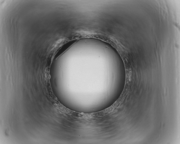 X0000099321157200805020747
