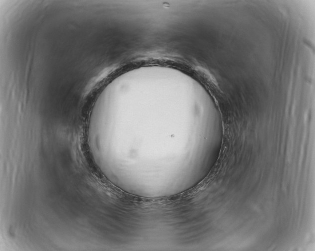 X0000099321159200805020747