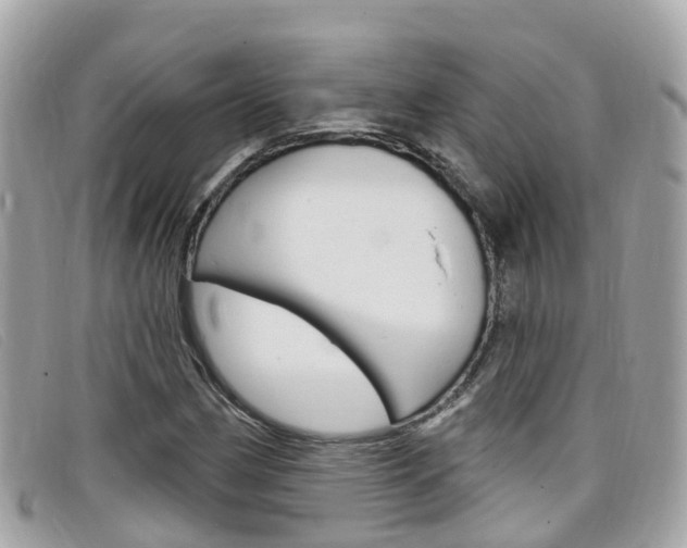 X0000099321162200805020747