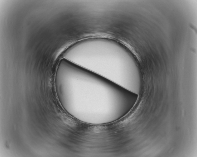 X0000099321163200805020747