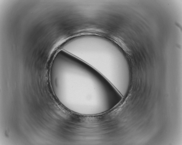 X0000099321164200805020747